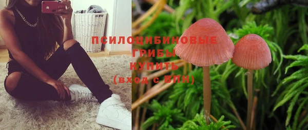 гашик Абинск
